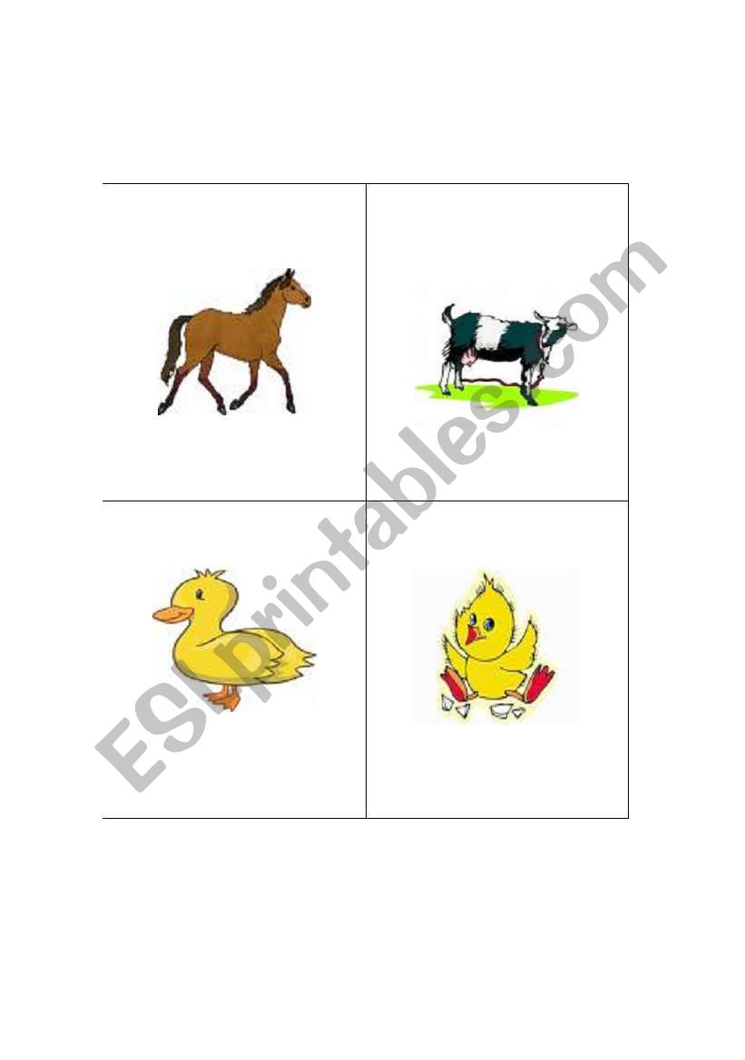 Big and little animals worksheet