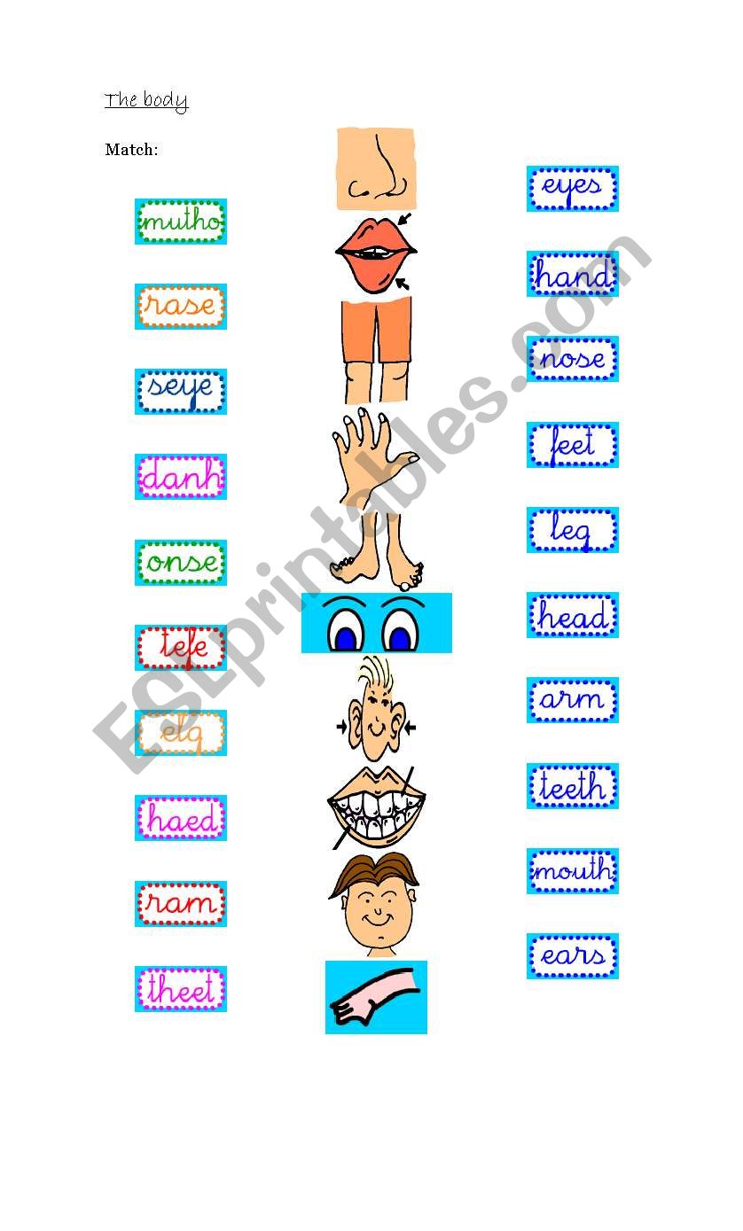 Parts of the body worksheet