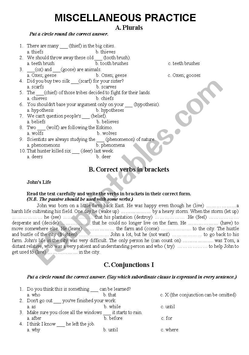 Miscellaneous Practice (Plurals,Verb Forms, Clauses)