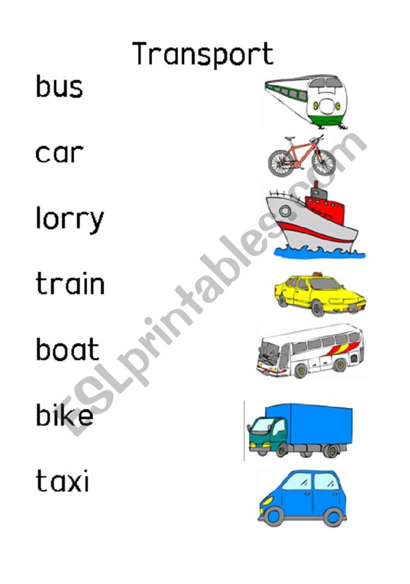 Transport worksheet