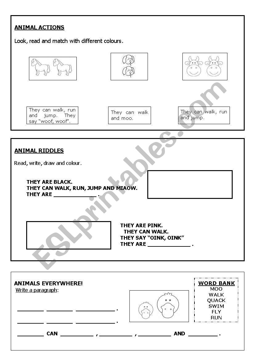 Animals worksheet