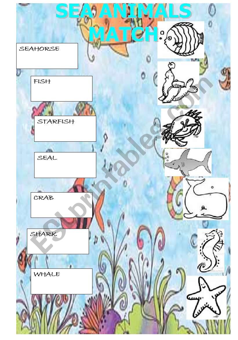 sea animals worksheet