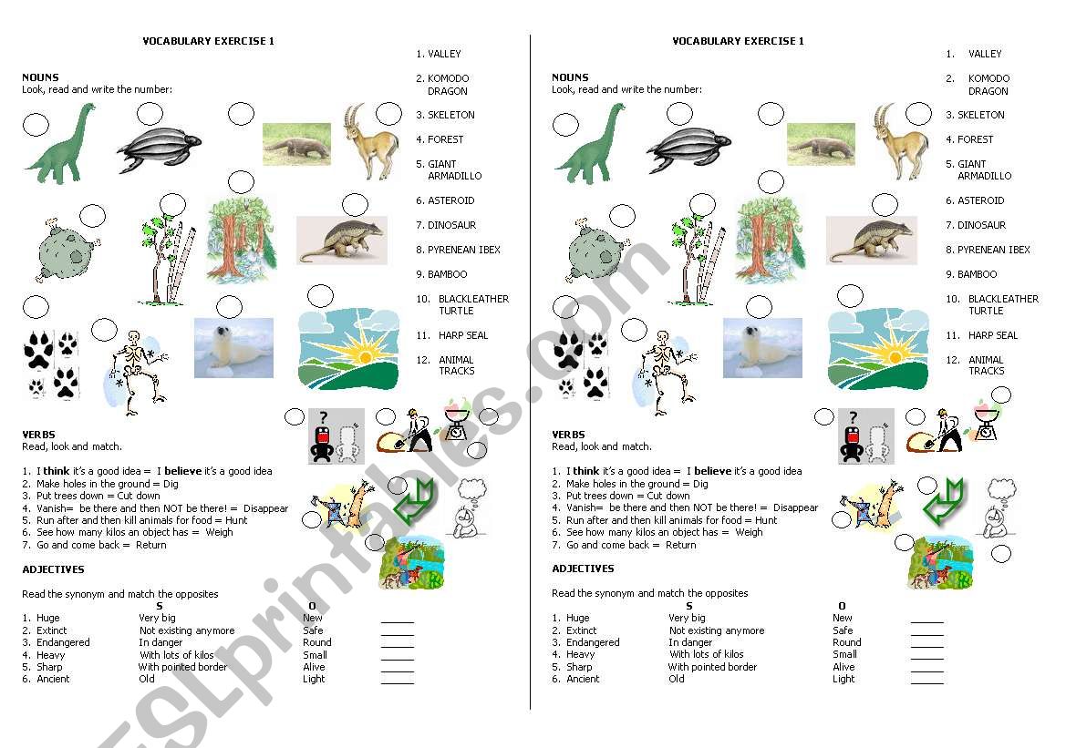 Endangered Animals  worksheet