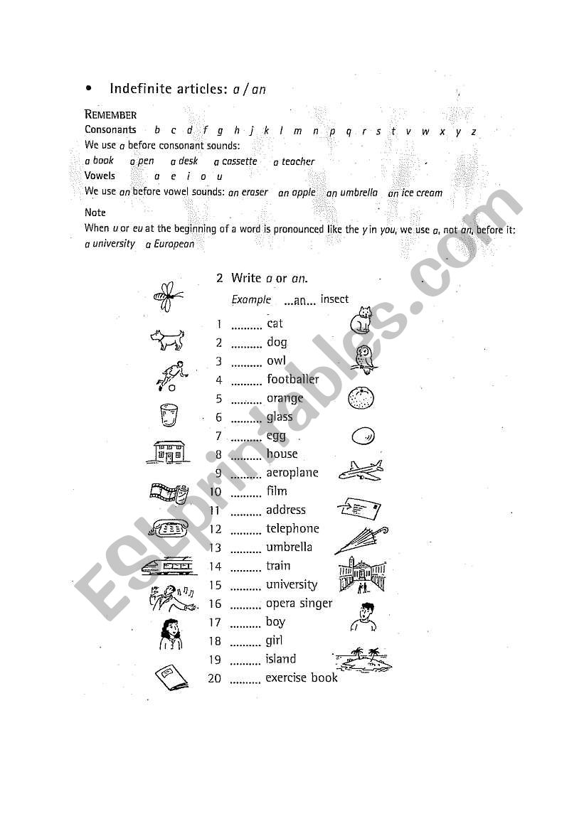 A/an worksheet worksheet