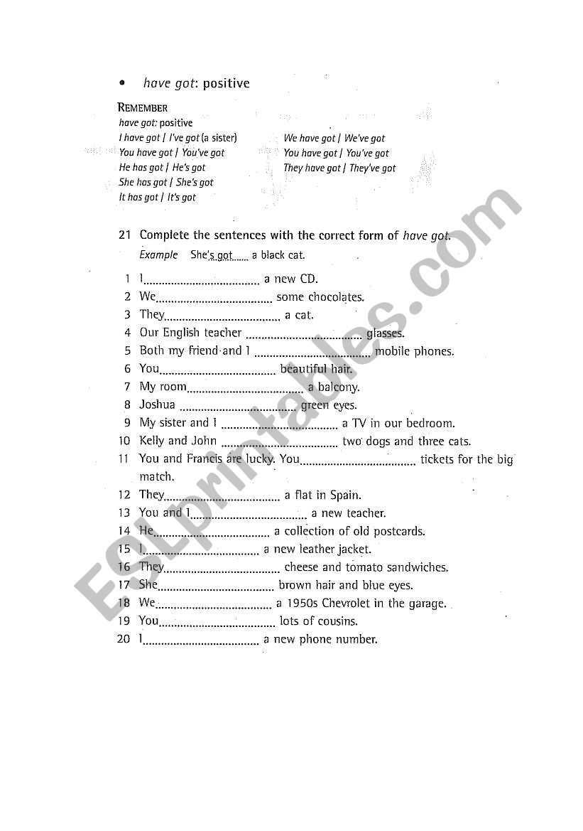 have got has got worksheet (1/3)