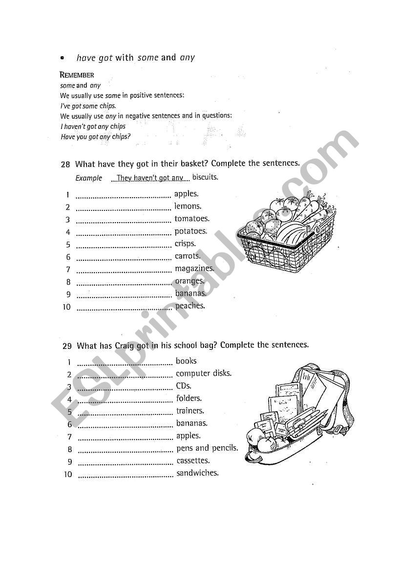 have got has got worksheet (2/3)