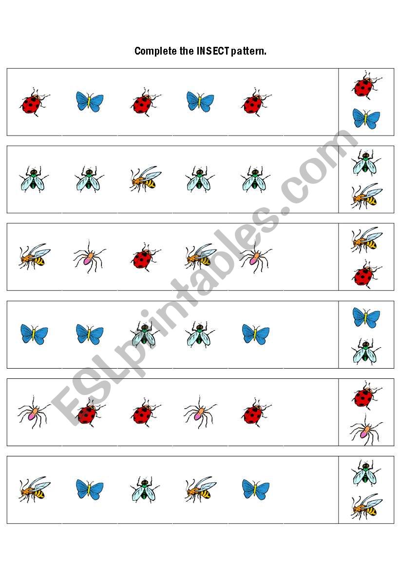Complete the INSECT pattern worksheet