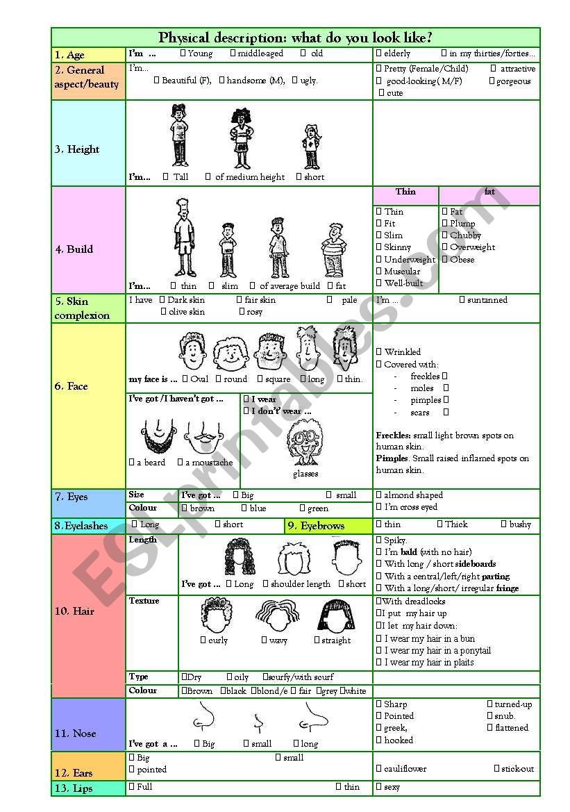 physical description worksheet