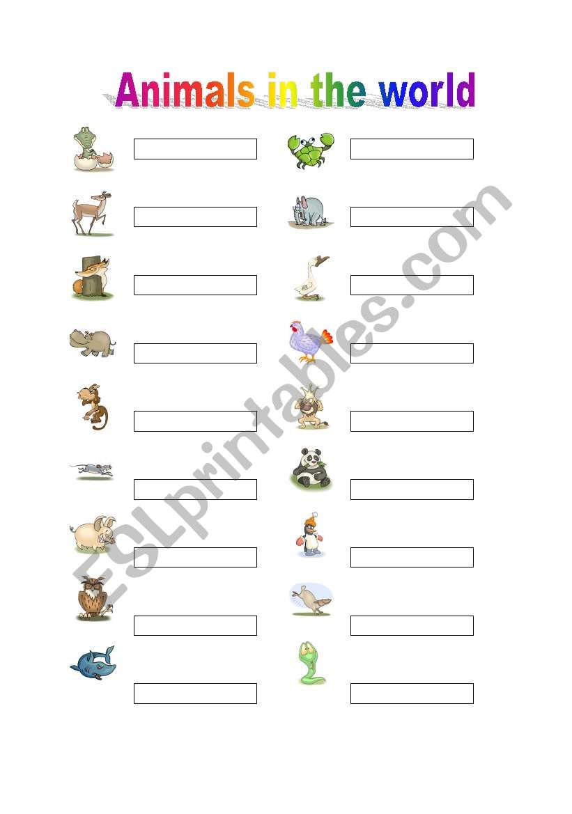 Animals writed worksheet