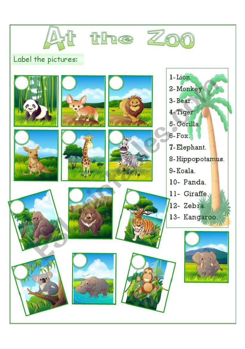 at the zoo worksheet