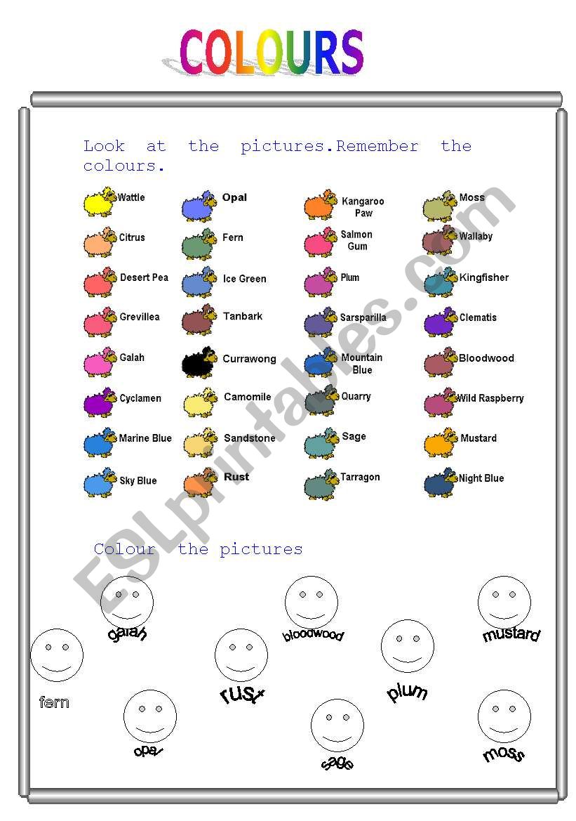 colours worksheet