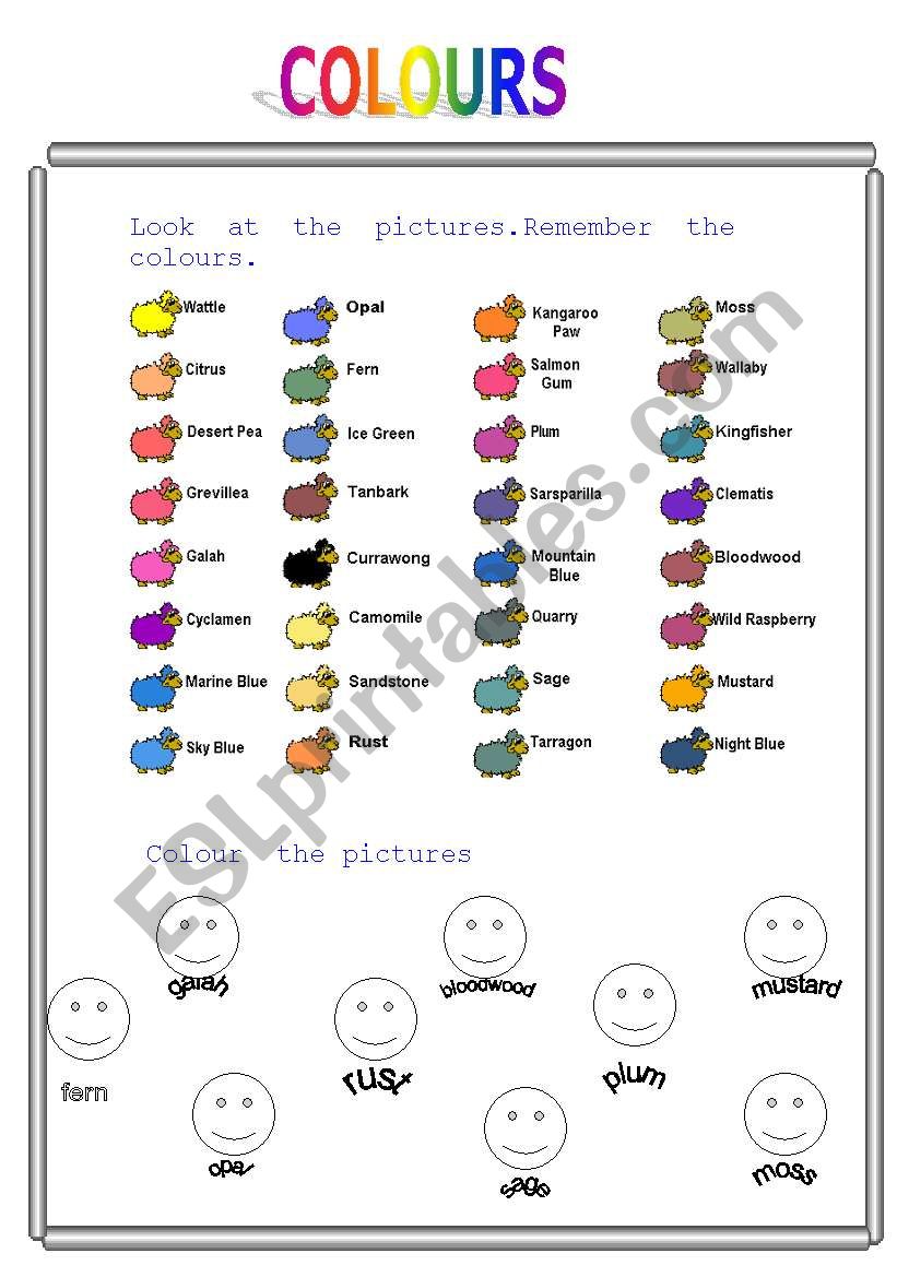 colours worksheet