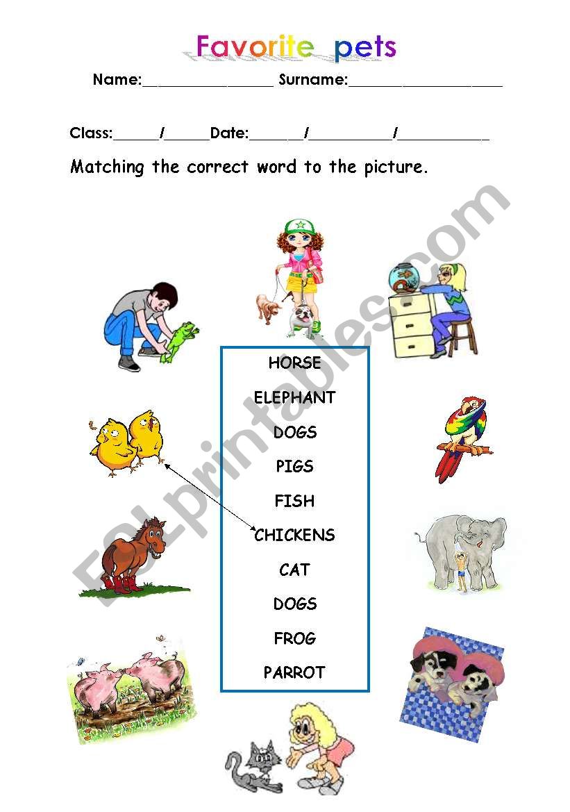 Favorite  pets worksheet