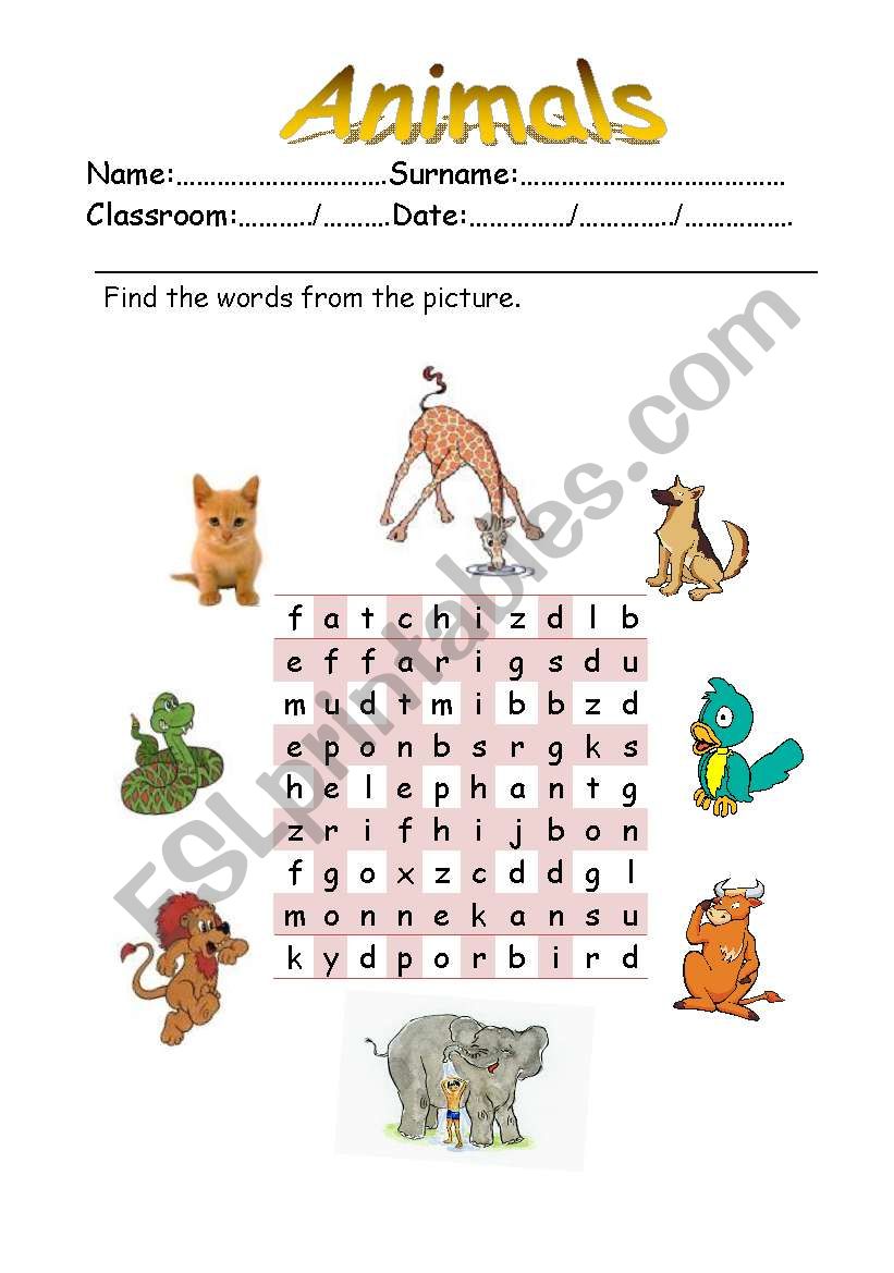 Animals worksheet