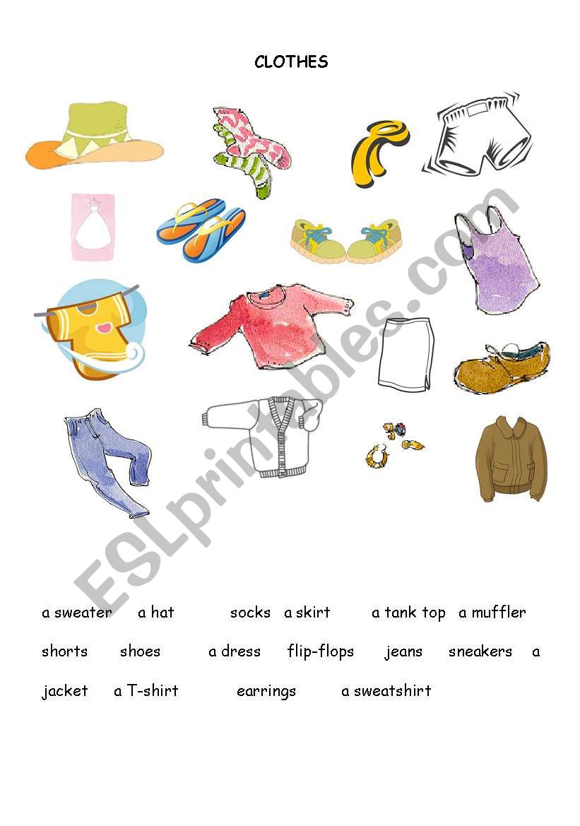 Clothes  worksheet