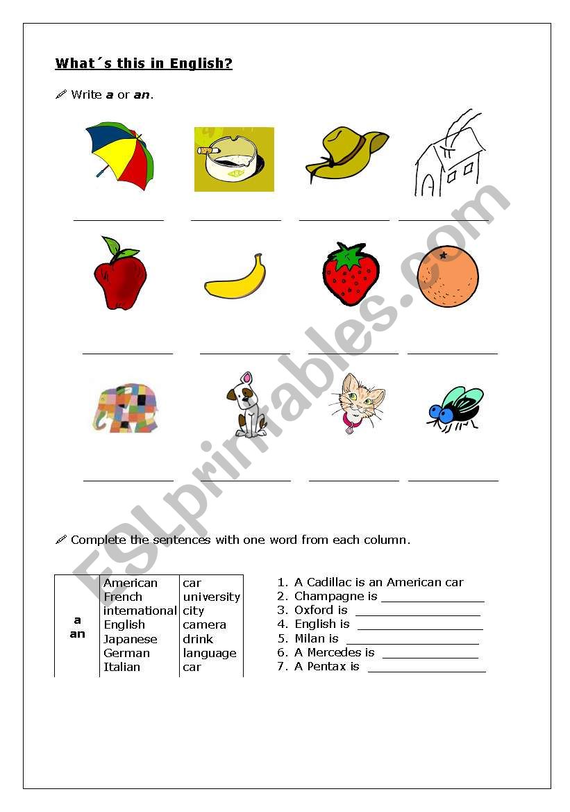 A/an worksheet