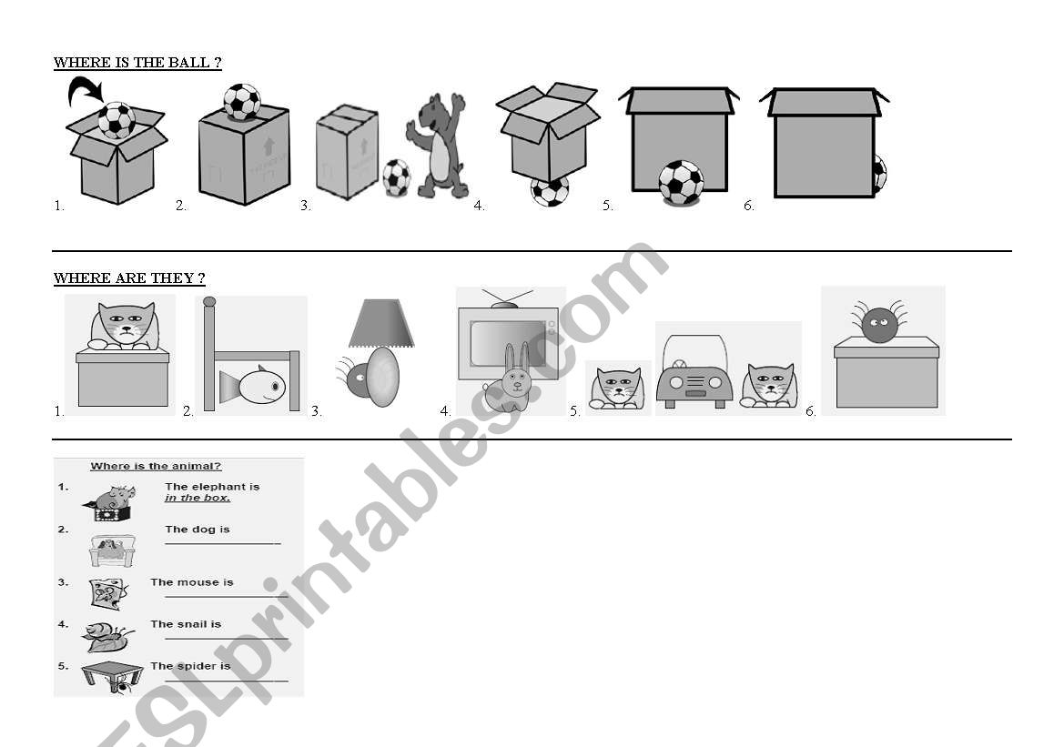 where / prepositions worksheet