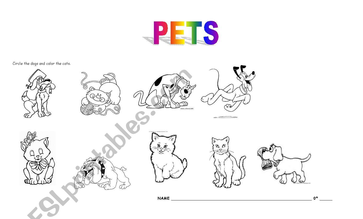 PETS worksheet