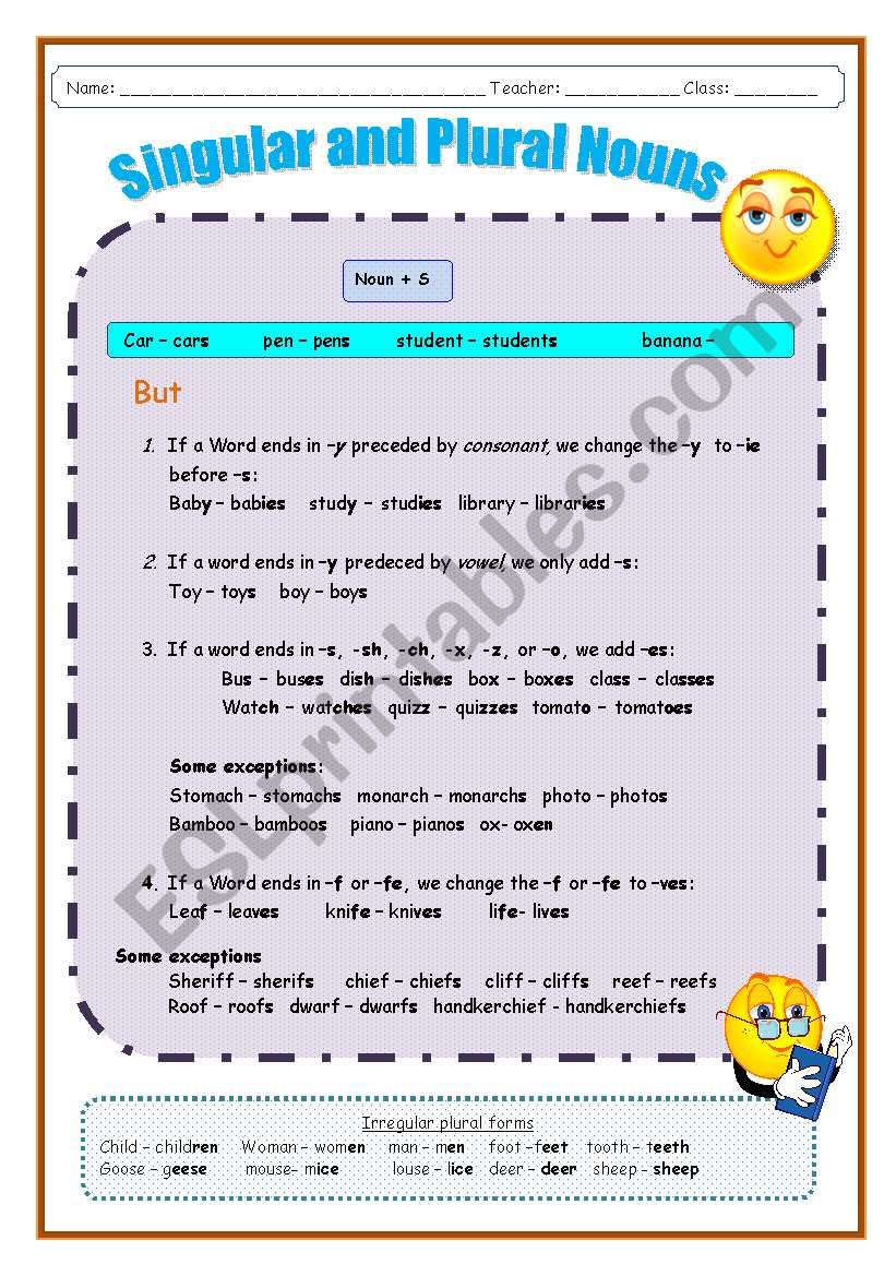 Singular and Plural nouns worksheet