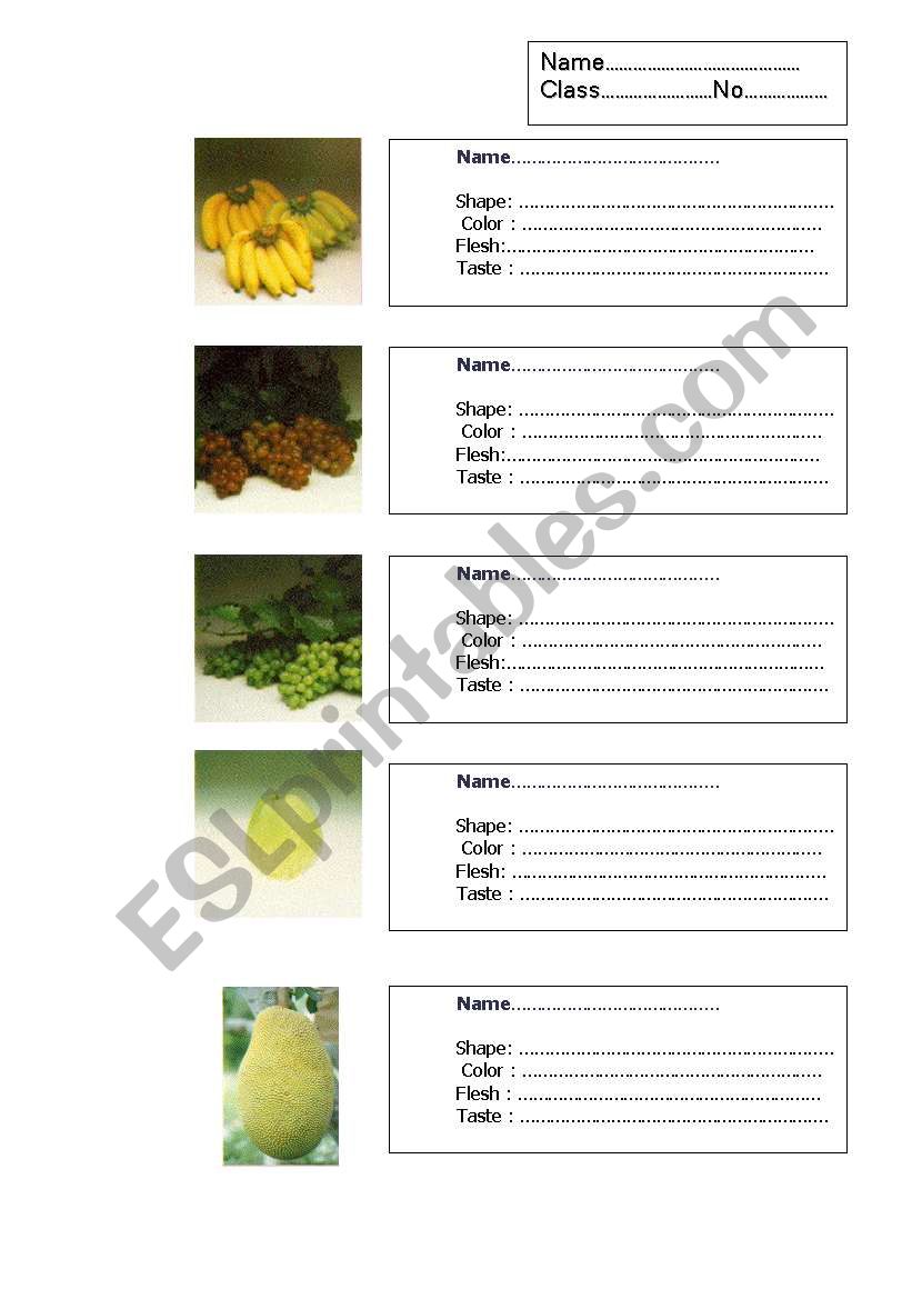 fruit worksheet