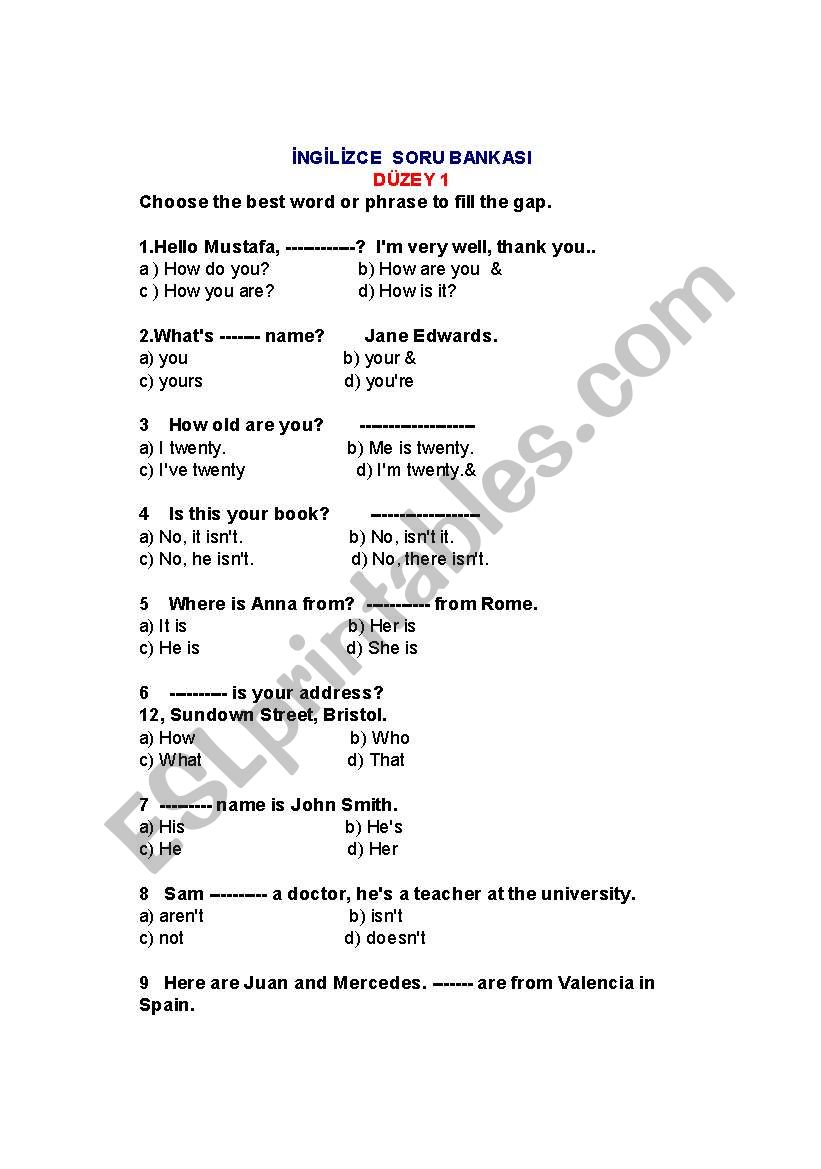 quiz for elementary level worksheet