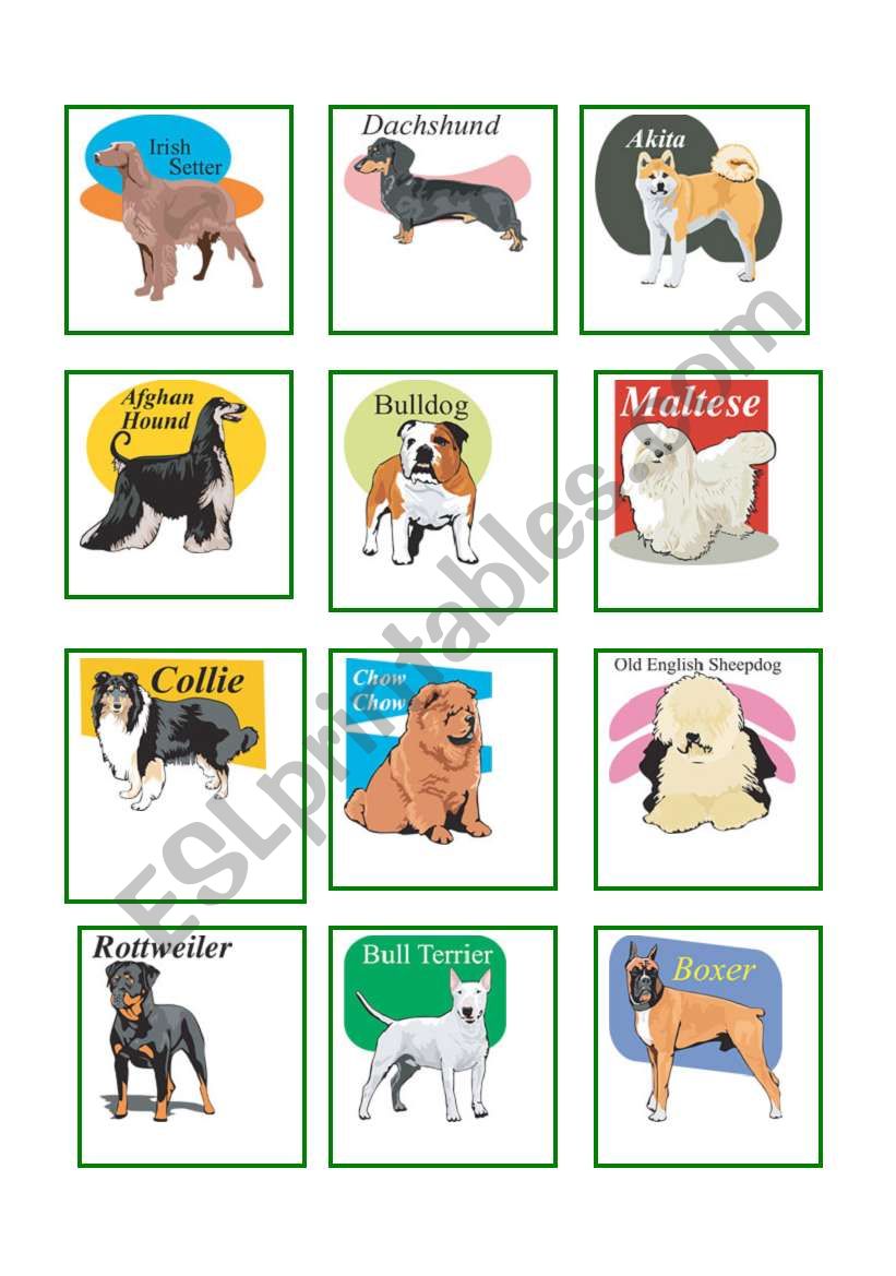 Dog breeds worksheet