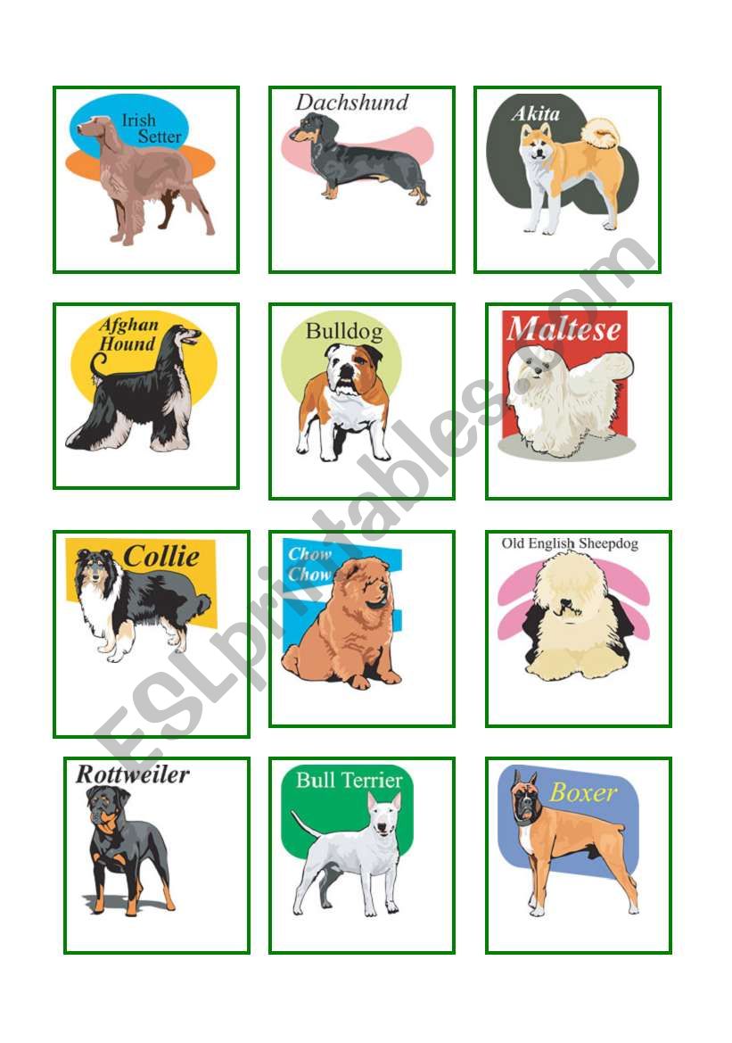 Dog breeds worksheet