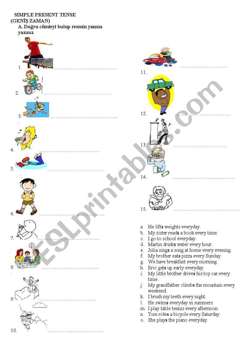 Simple present tense worksheet