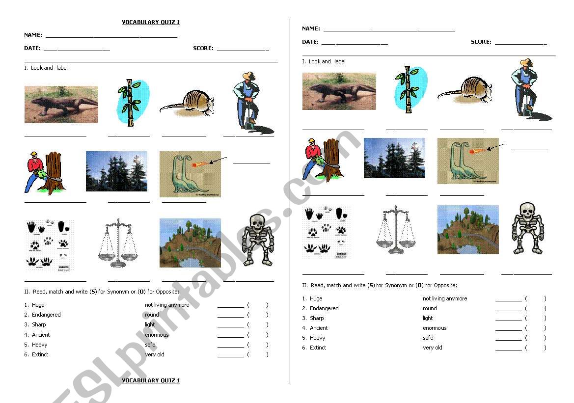 Endangered animals quiz worksheet