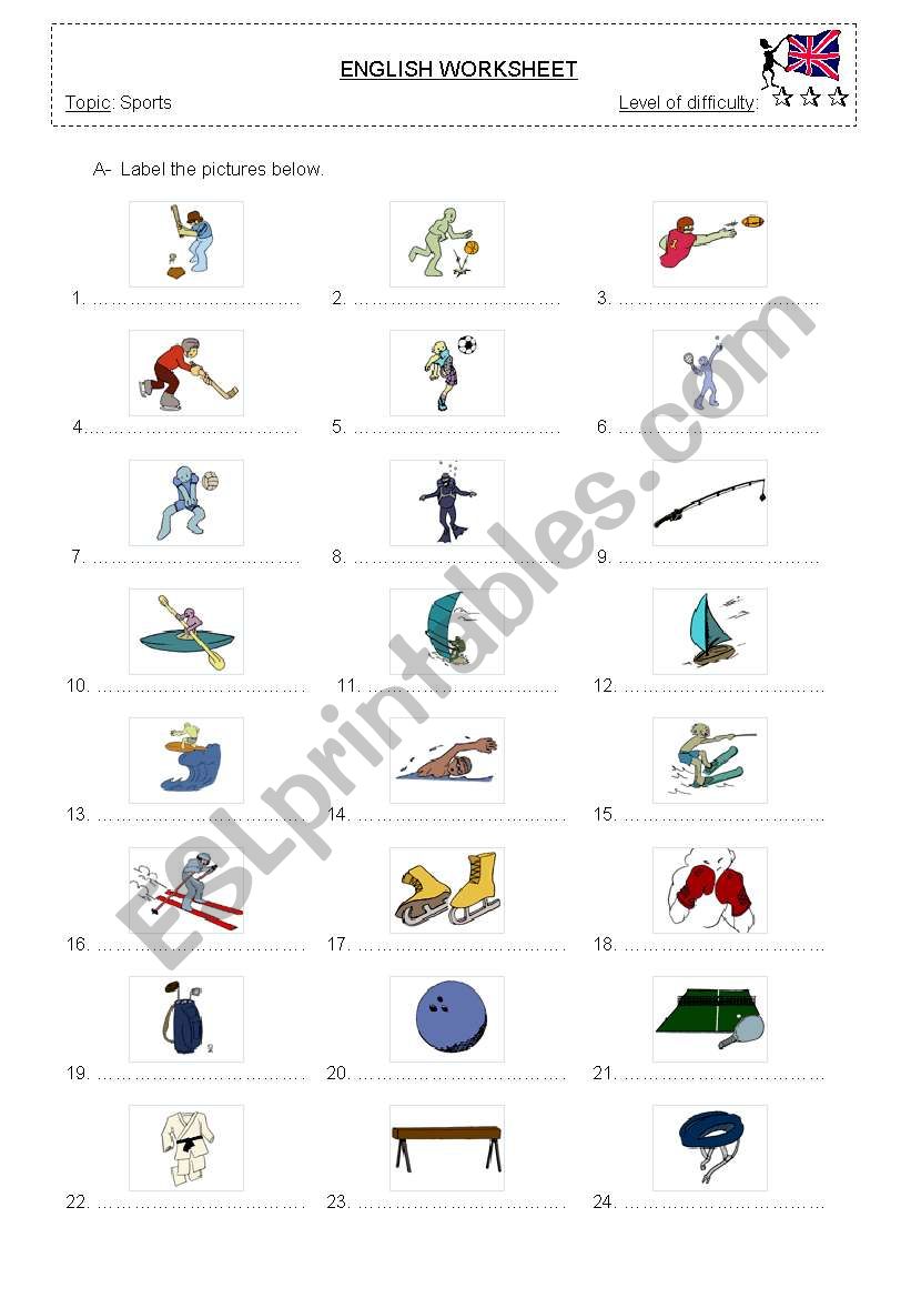 Sports worksheet
