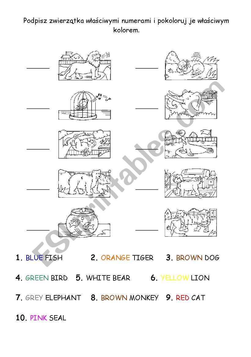 number and colour the animals worksheet