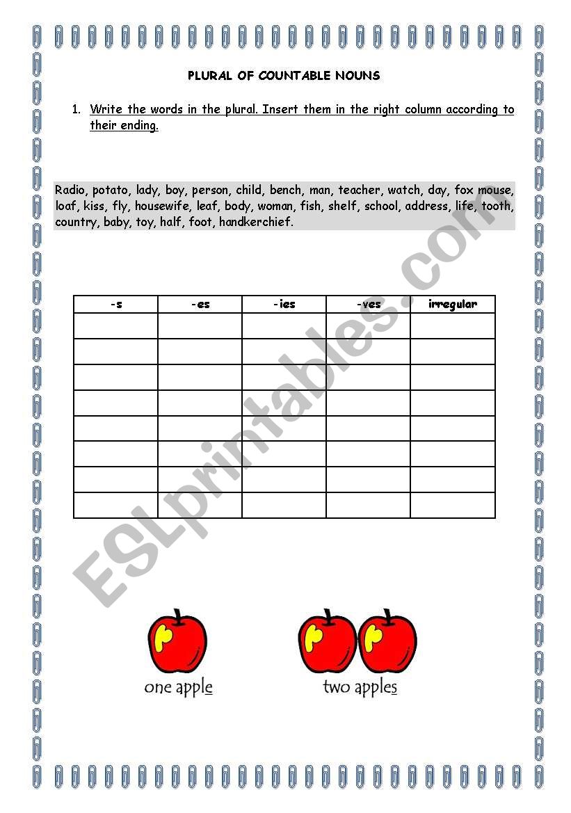 plurals - regular and irregular - exercises