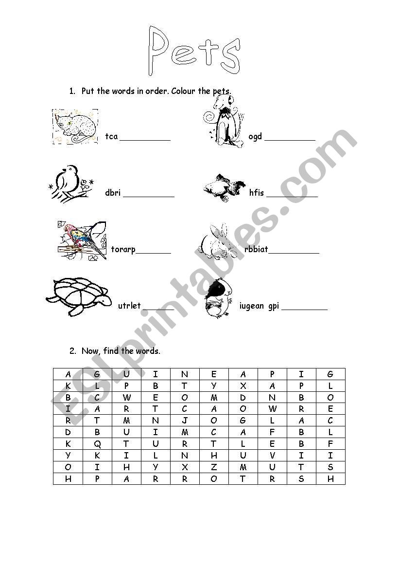 Pets worksheet