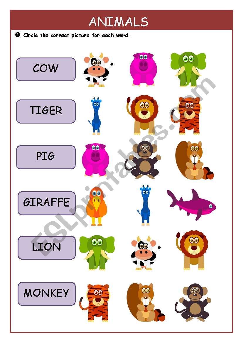 Animals worksheet