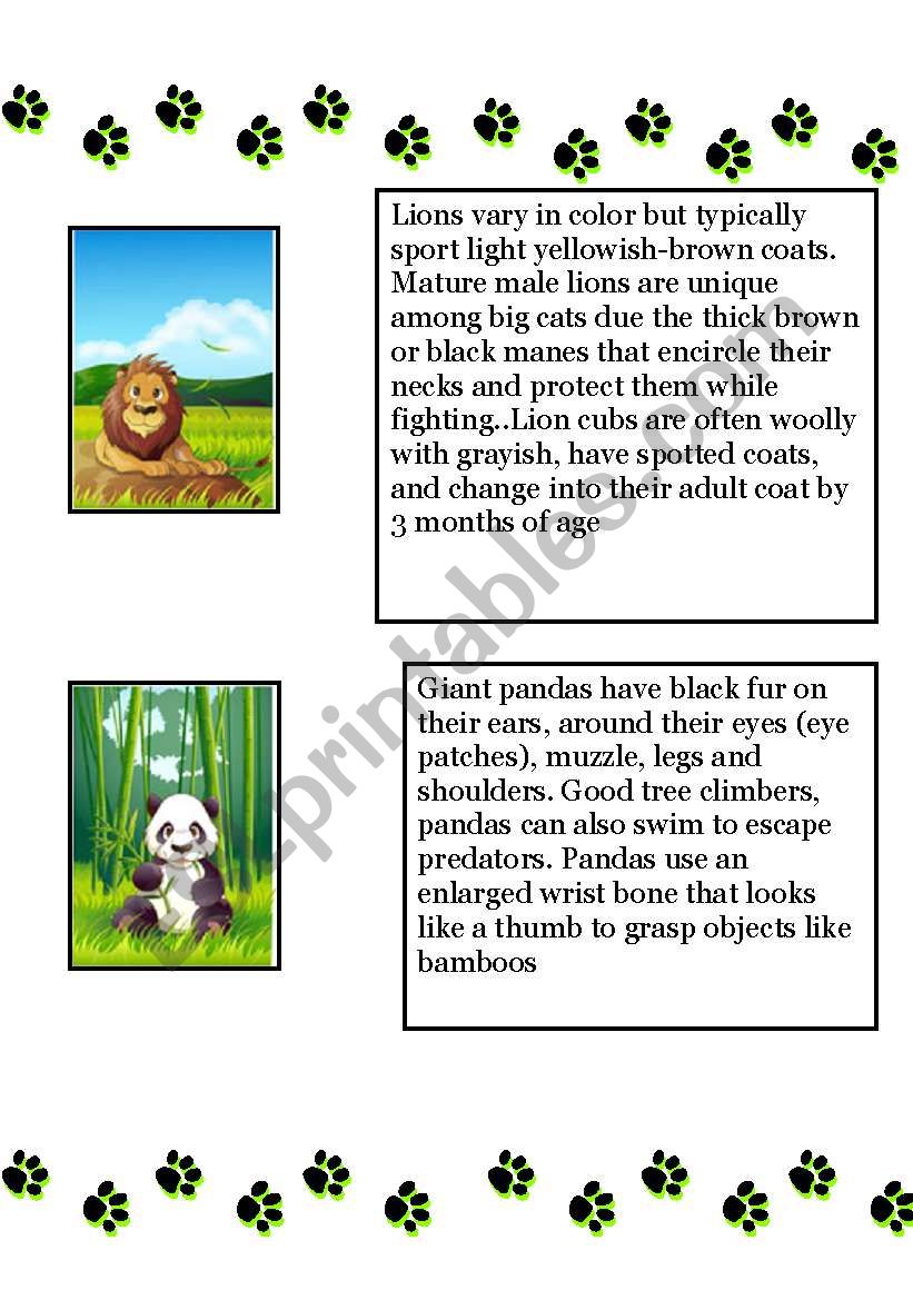 Animal Kingdom worksheet