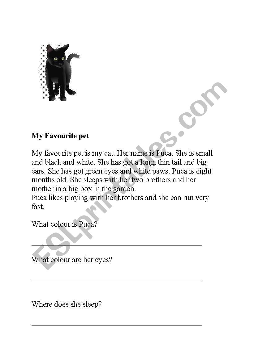 My favourite worksheet