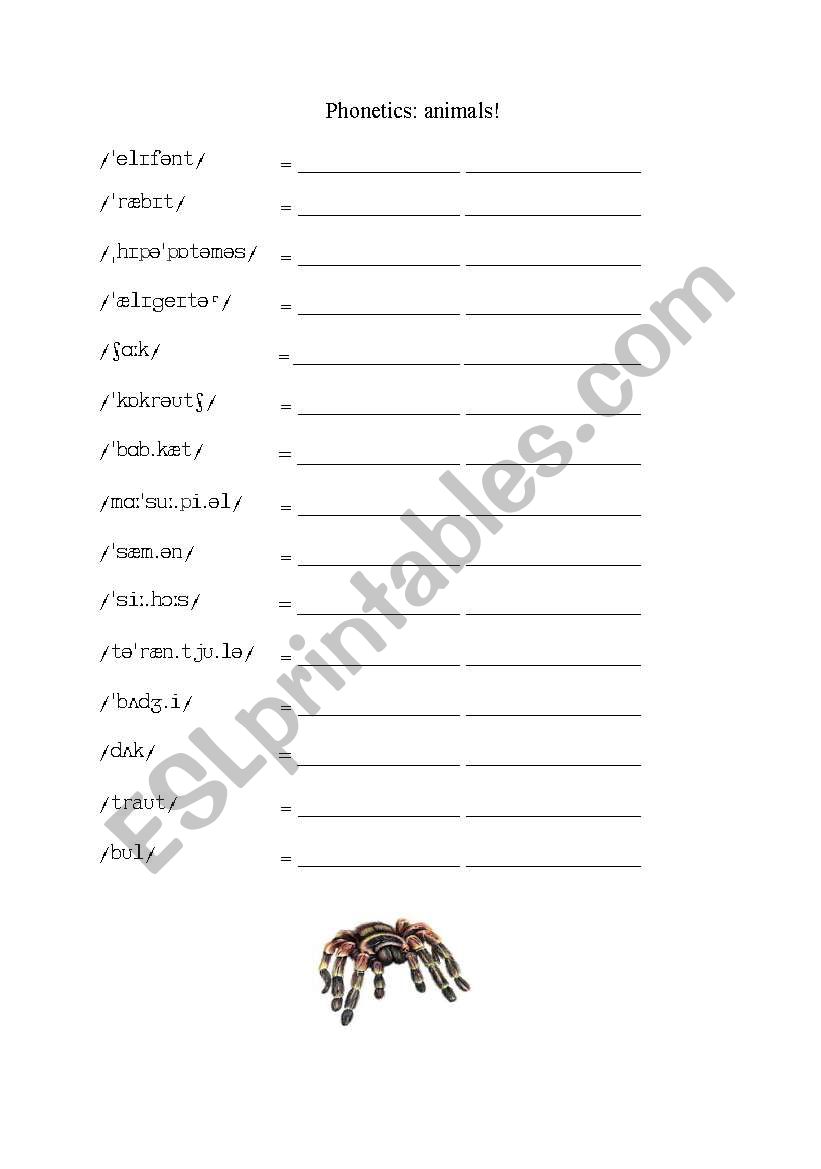 Phonetics Animals worksheet