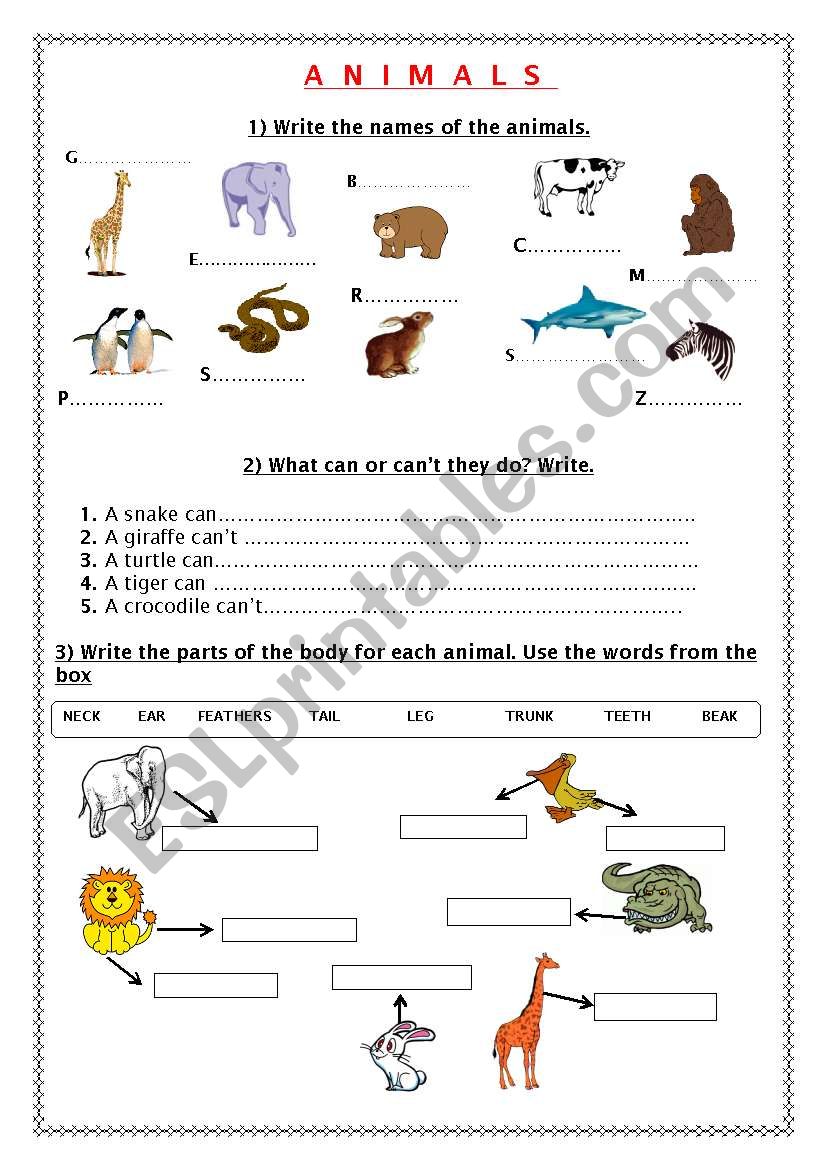 Animals  (Part 1) worksheet