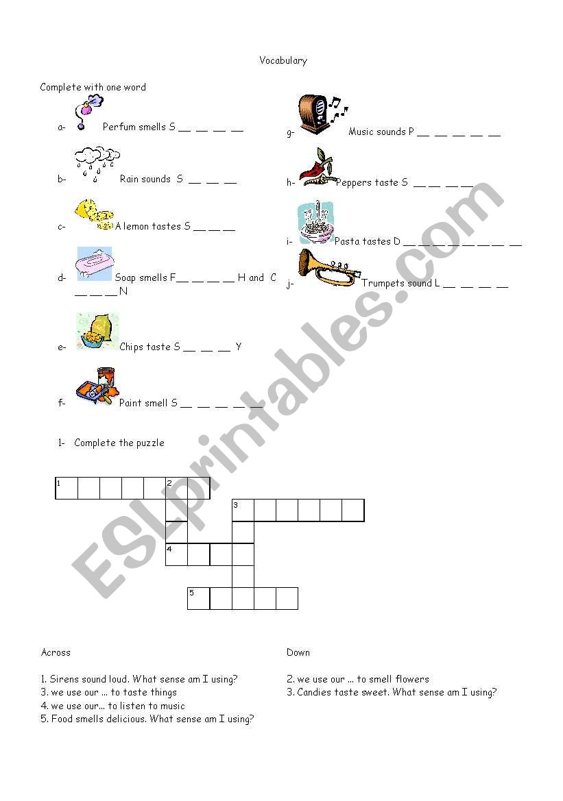 Senses worksheet