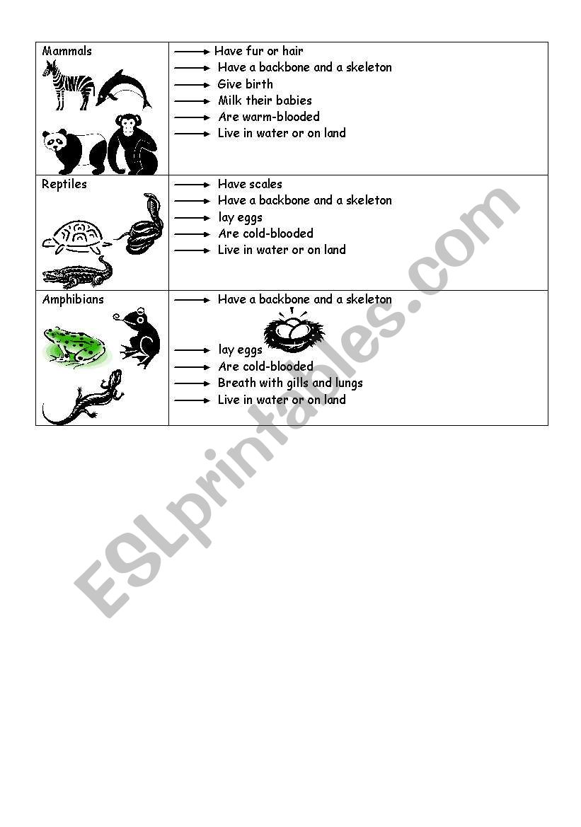 Animals classification worksheet