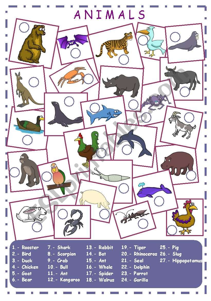 Animals (1/2) worksheet