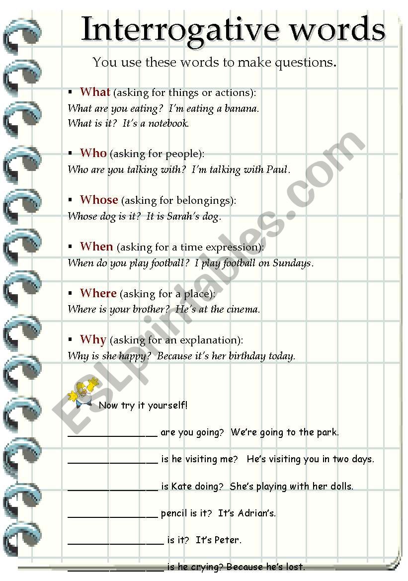 interrogative words worksheet