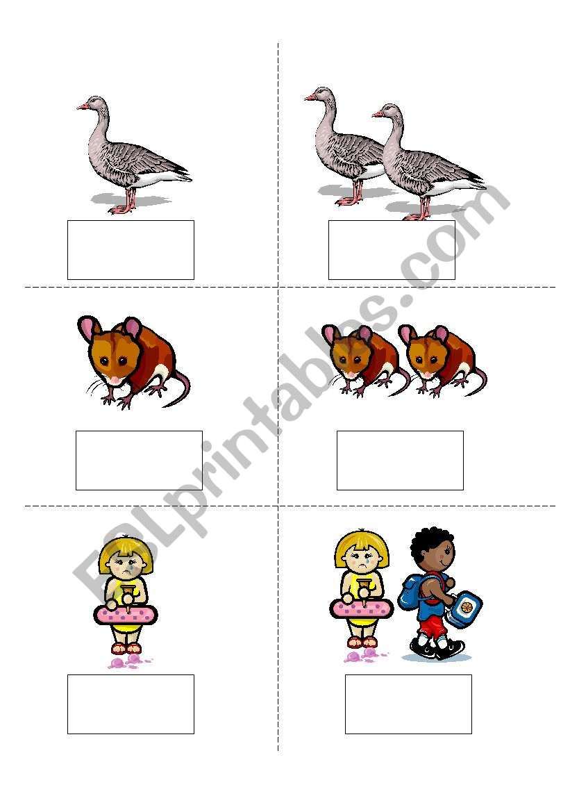 Irregular Plural Nouns worksheet