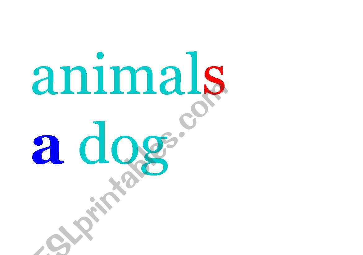 animals plural / singular worksheet