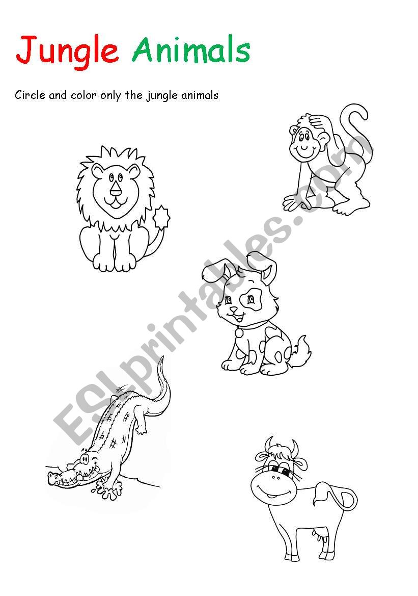 jungle animals worksheet