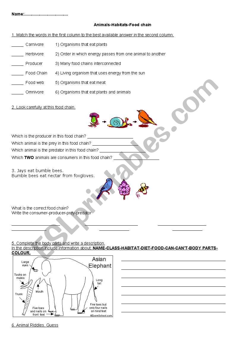 Worksheet worksheet