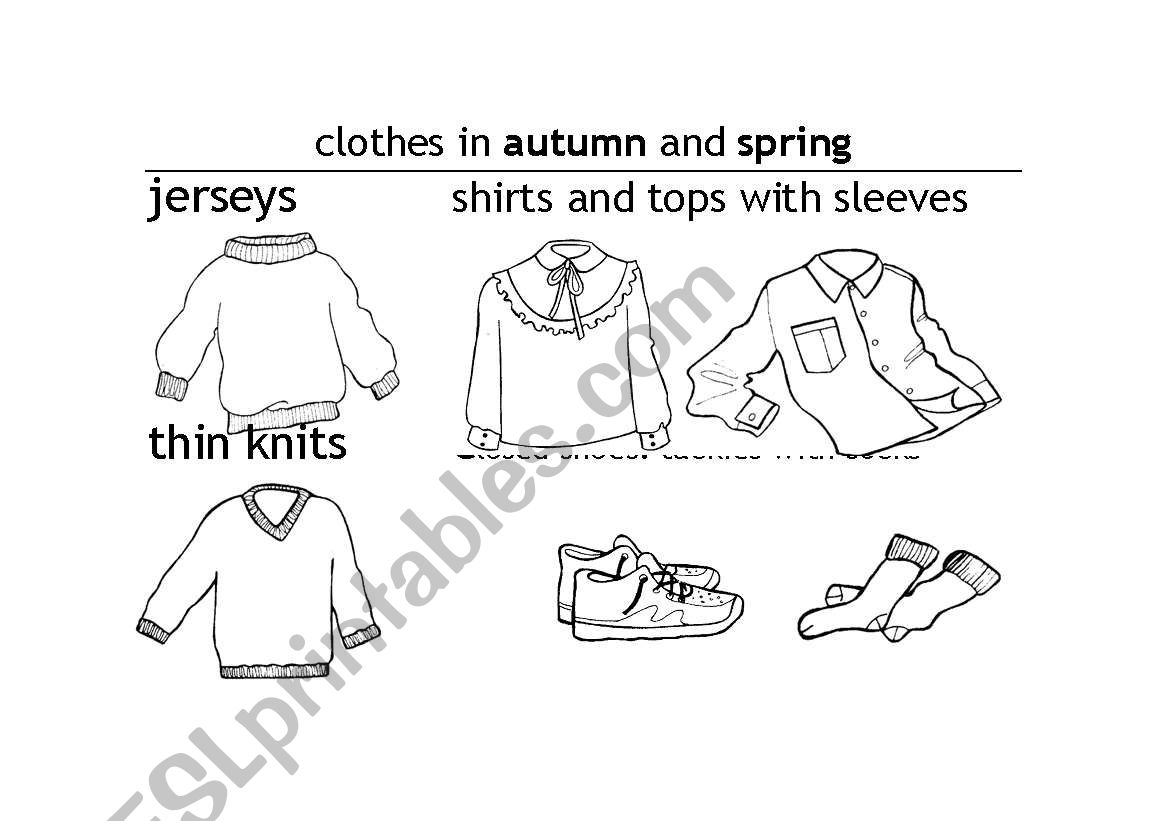 Clothes all year long worksheet
