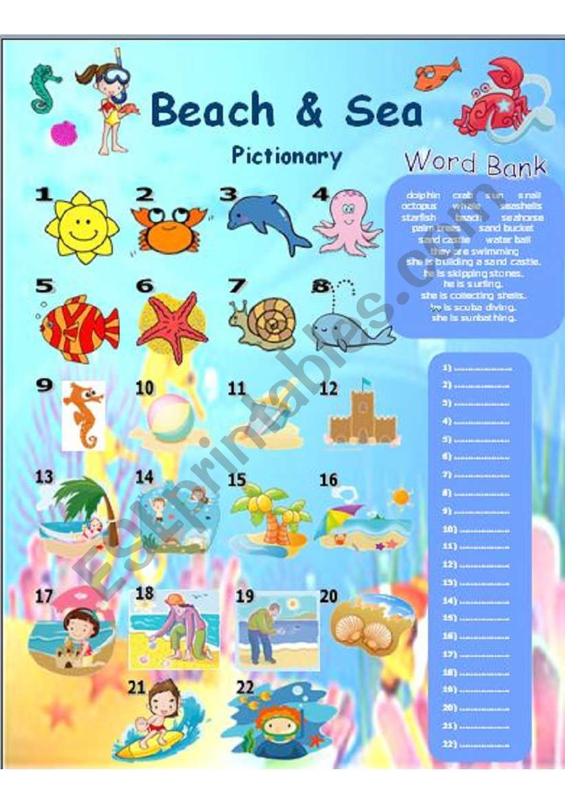 Beach and Sea Pictionary worksheet