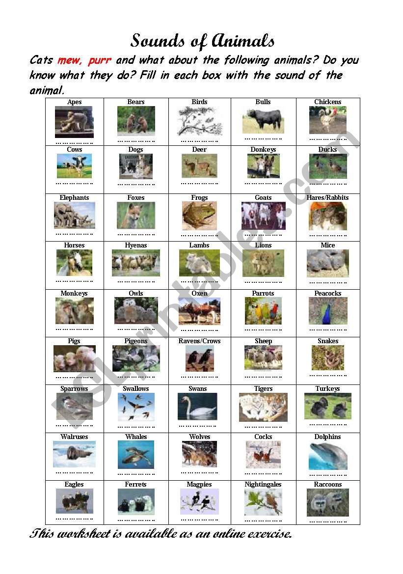 Sounds of Animals. worksheet