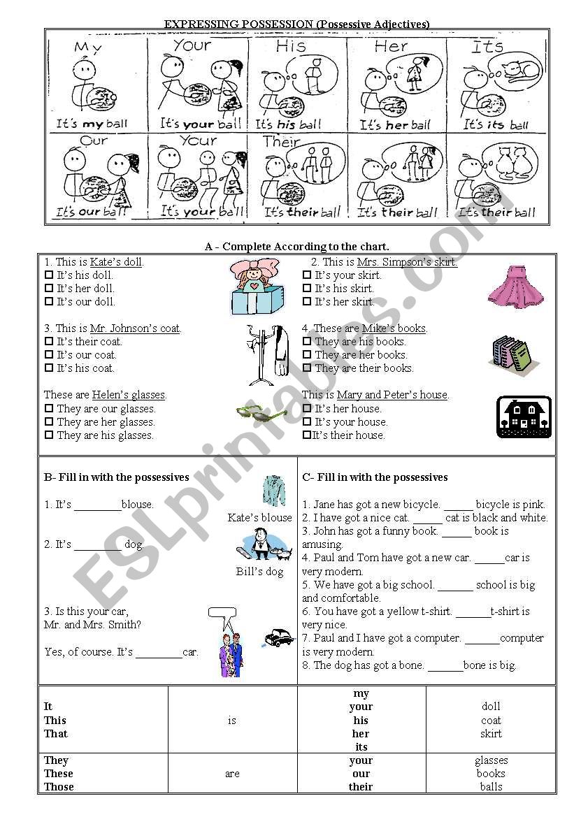 EXPRESSING POSSESSION worksheet